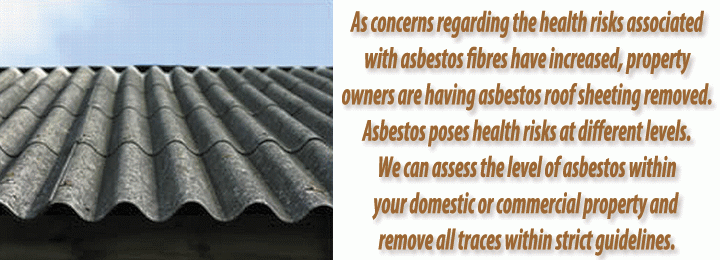 Removing Asbestos